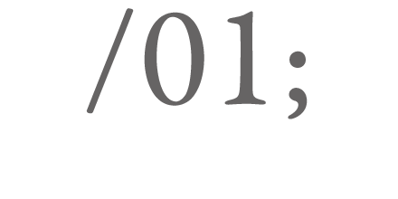 SLED BED design by rodolfo dordoni