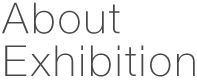 About Exhibition