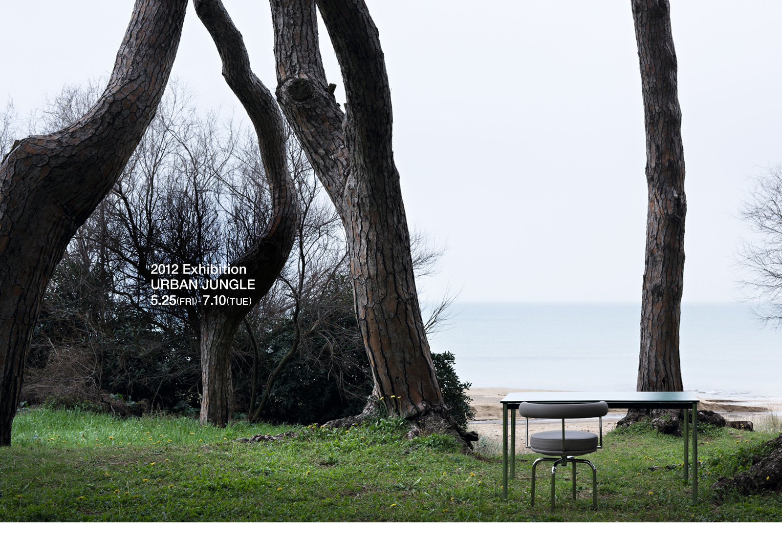 2012 Exhibition URBAN JUNGLE